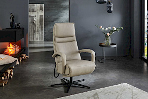 Ledersessel Z21547